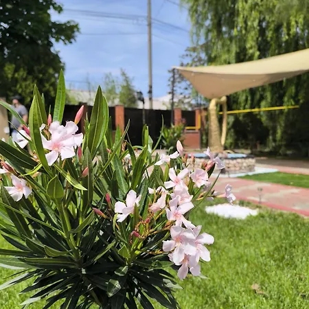 Friendly House בית אירוח אפורי נורד