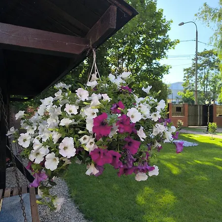 Friendly House *